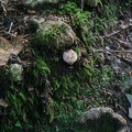 DSC06201