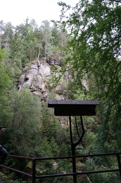 DSC06315
