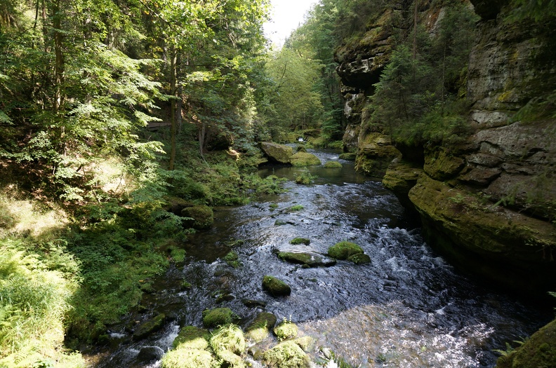 DSC06349