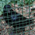 DSC07189.JPG