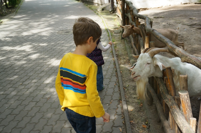 DSC07234.JPG