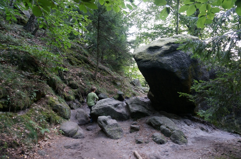 DSC06750