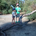 IMG-20140812-WA0004