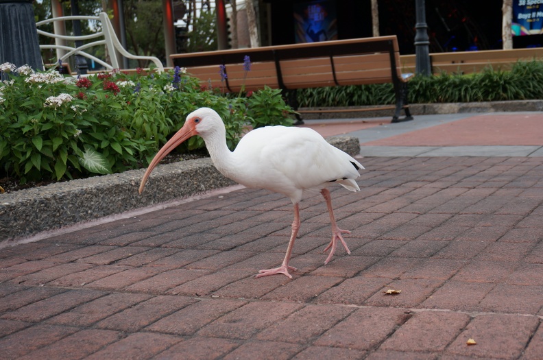 DSC07490