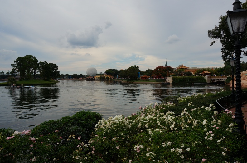 DSC07508
