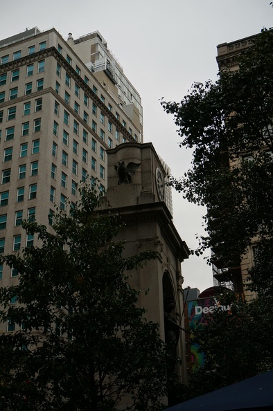 DSC07727