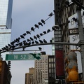 DSC07741.JPG