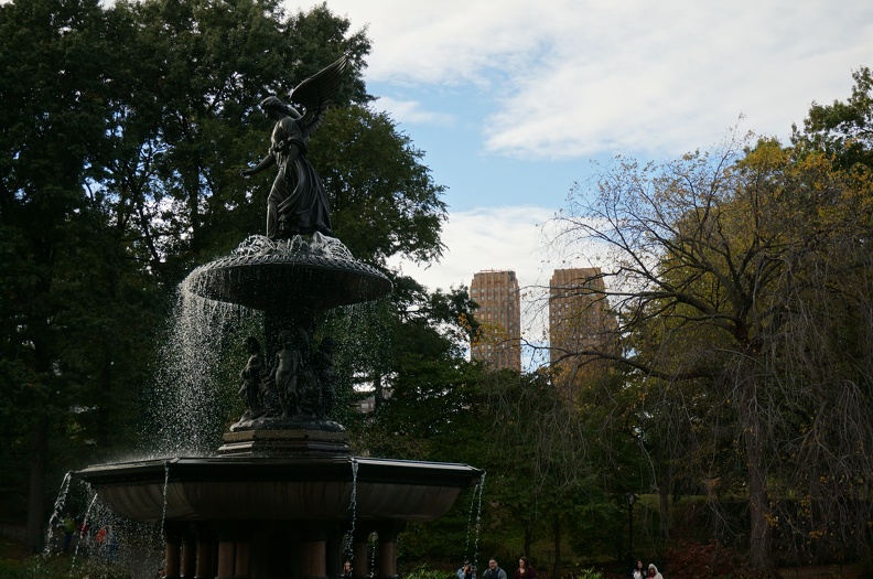 DSC07791