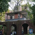 DSC07801