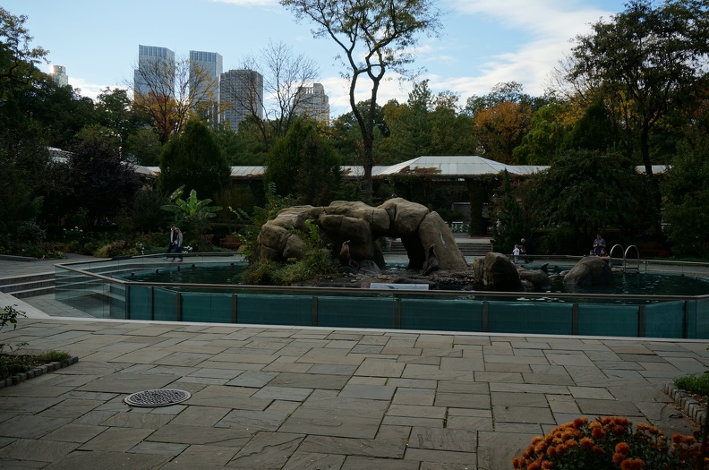 DSC07804
