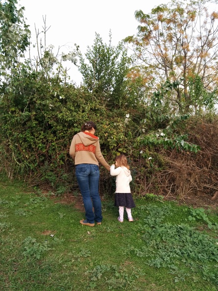 IMG 20141129 150007