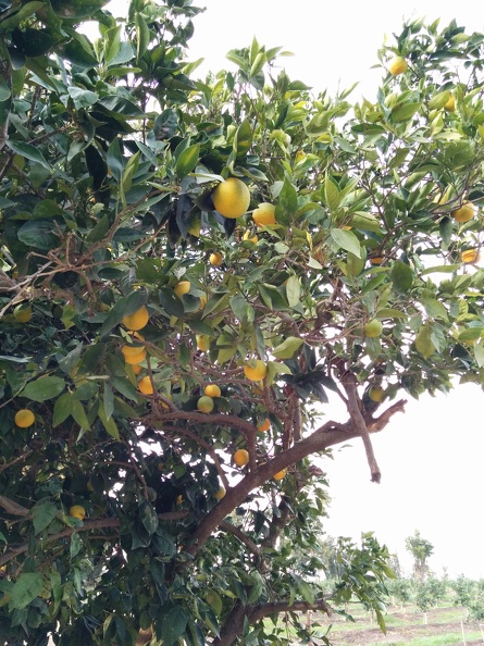IMG 20141129 152819