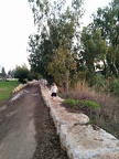 IMG 20141129 161448