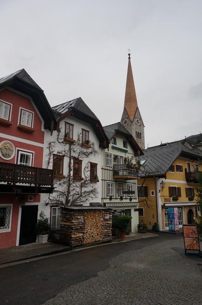 DSC08552.JPG