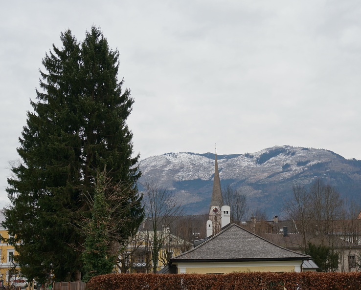 DSC08126.JPG