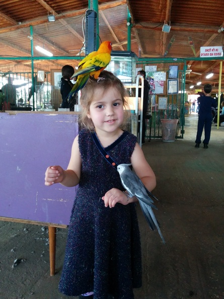IMG 20150124 133610
