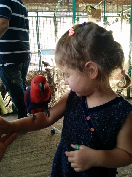 IMG 20150124 141305