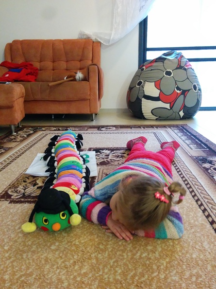 IMG 20150109 094746