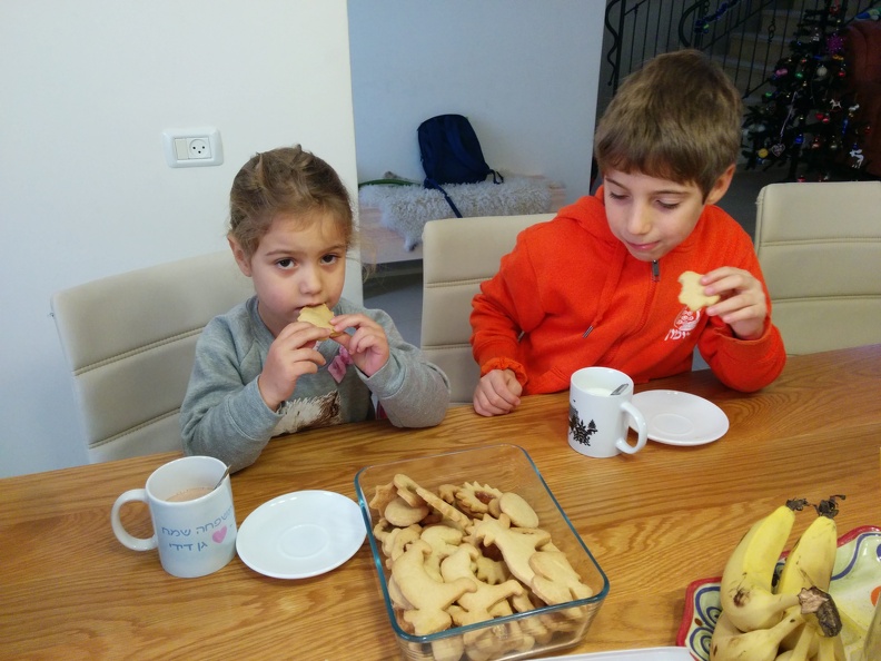 IMG 20141229 072248