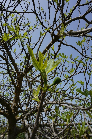 DSC09441