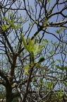DSC09441
