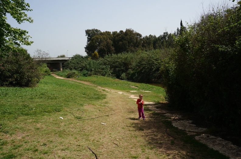 DSC09459
