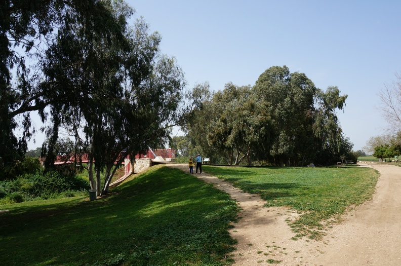 DSC09463