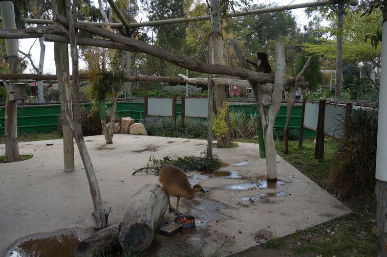 DSC09563