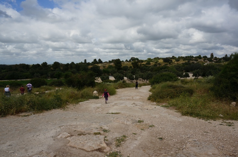 DSC09674