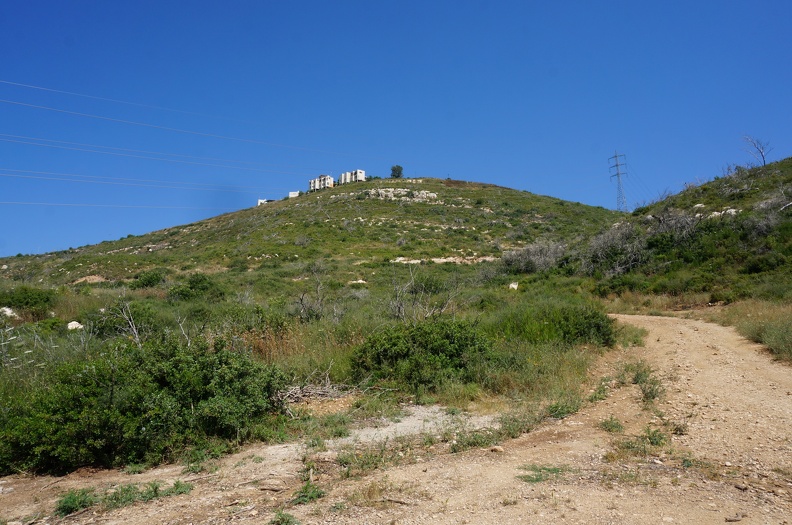 DSC00636