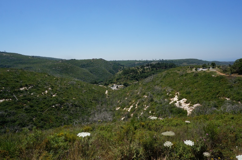 DSC00651
