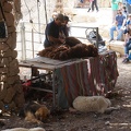 DSC09864