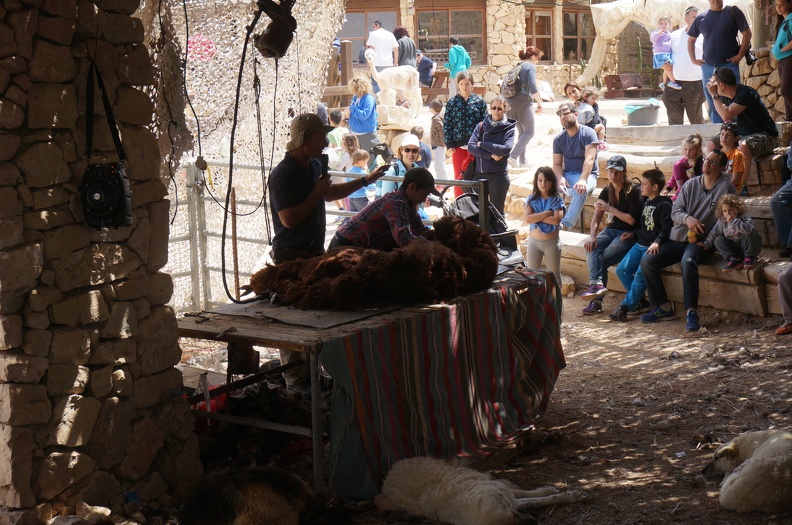 DSC09866