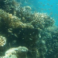 DSC00048