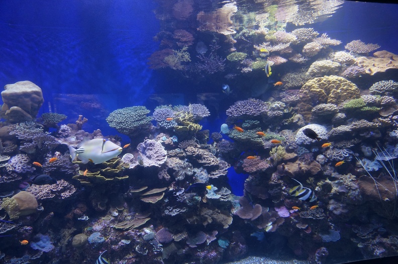 DSC09960