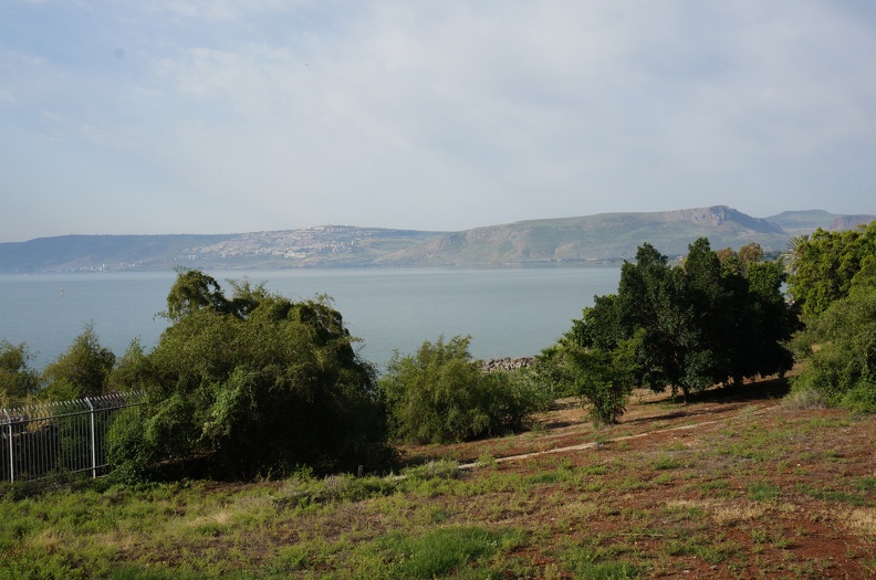 DSC00236
