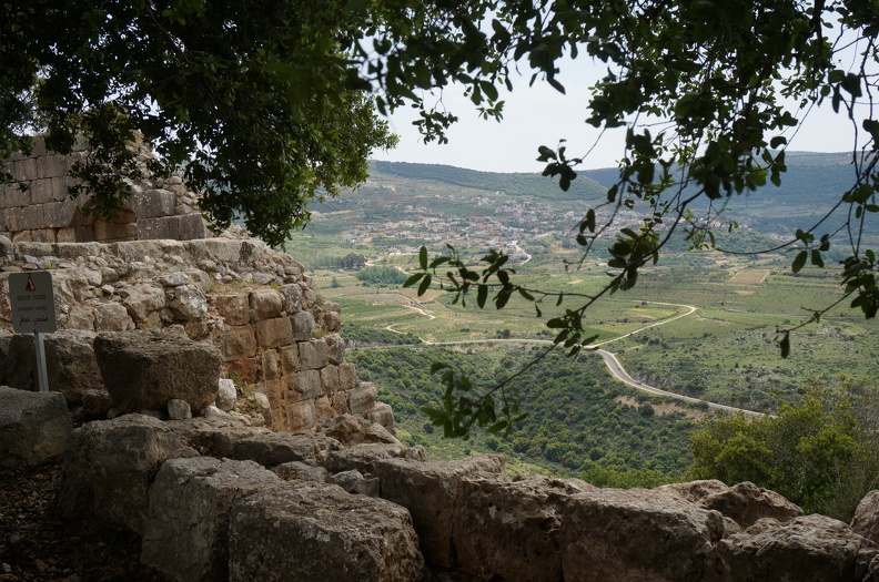 DSC00316