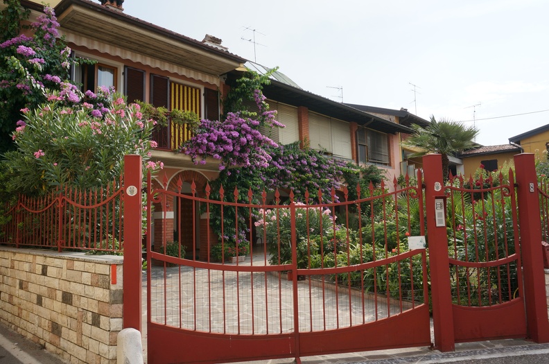 DSC01055