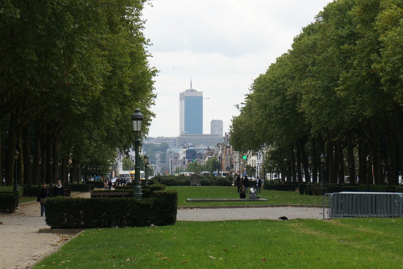 DSC02897