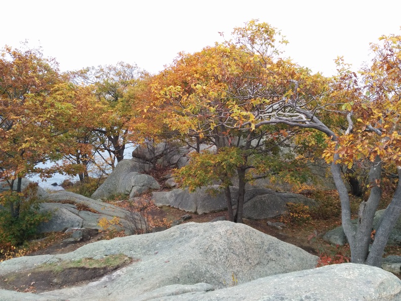 IMG 20151101 110902