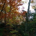 IMG 20151101 145146