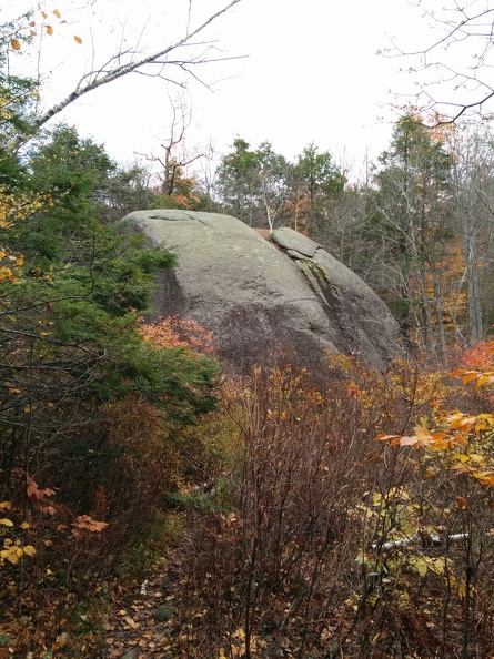 IMG 20151101 145731