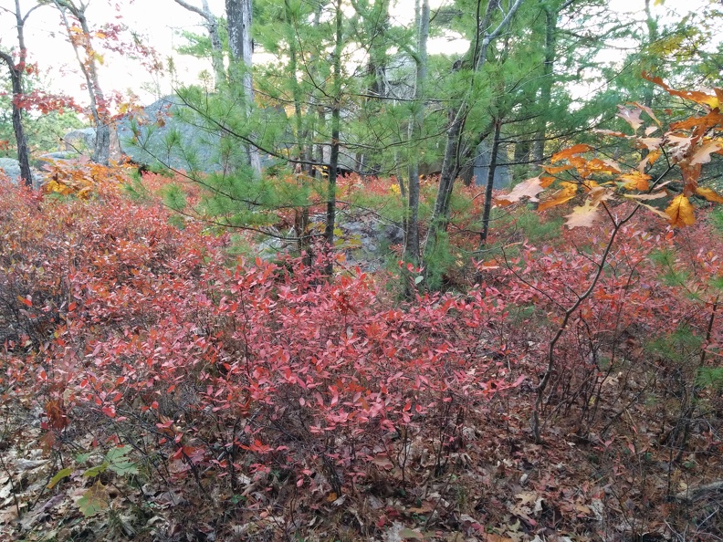 IMG 20151101 150743