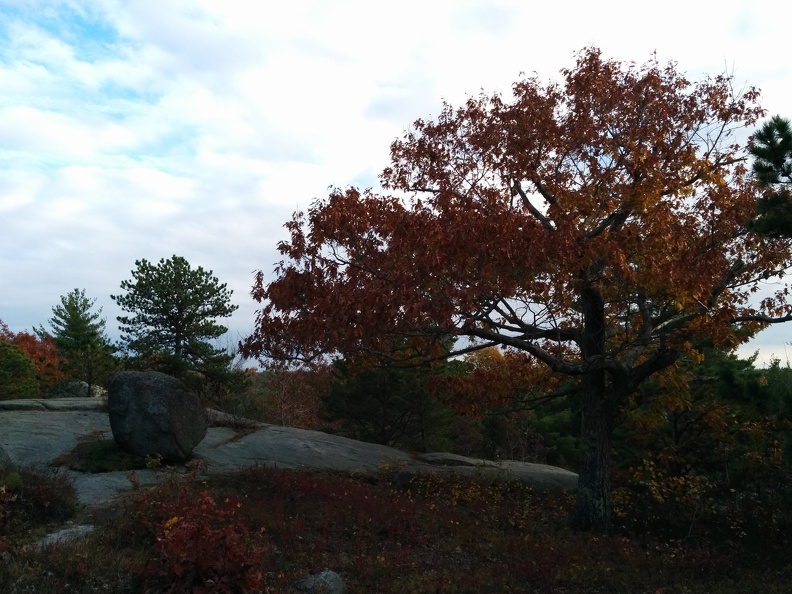 IMG 20151101 151112