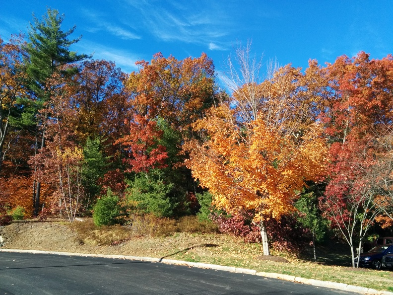 IMG 20151102 130731