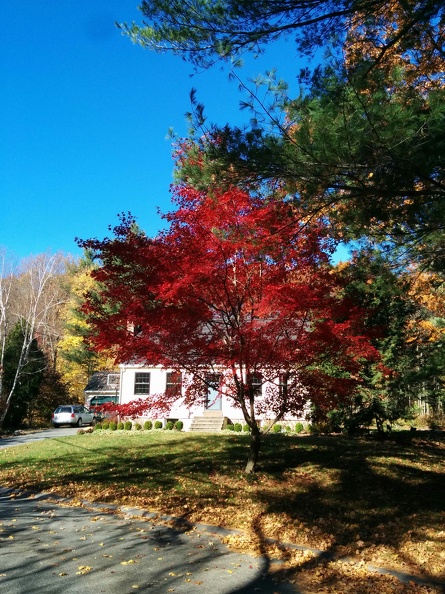 IMG 20151103 131659