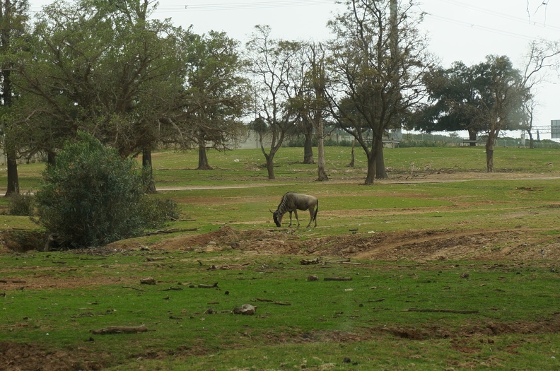 DSC04109