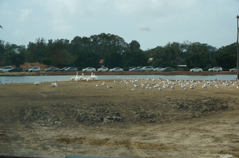 DSC04110