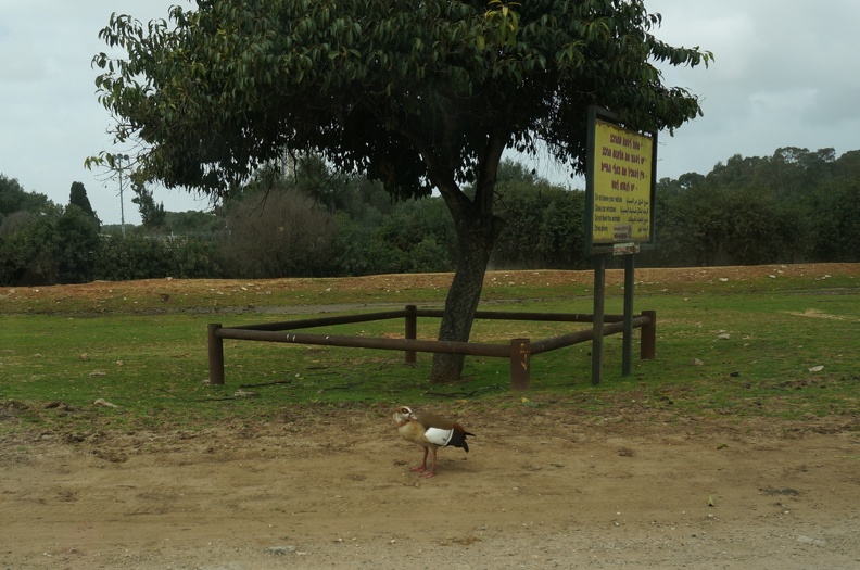 DSC04111