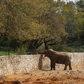 DSC04131.jpg